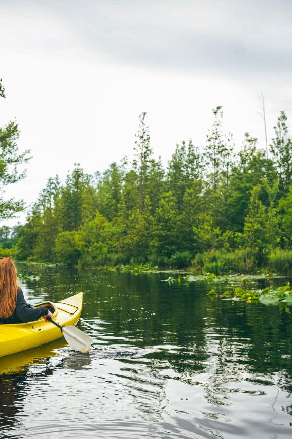 A person kayaks on a reflective lake at Okefenokee National Wildlife Refuge