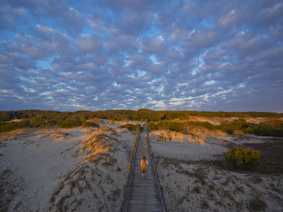 cumberland island