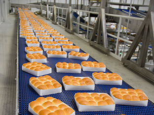 Food Processing