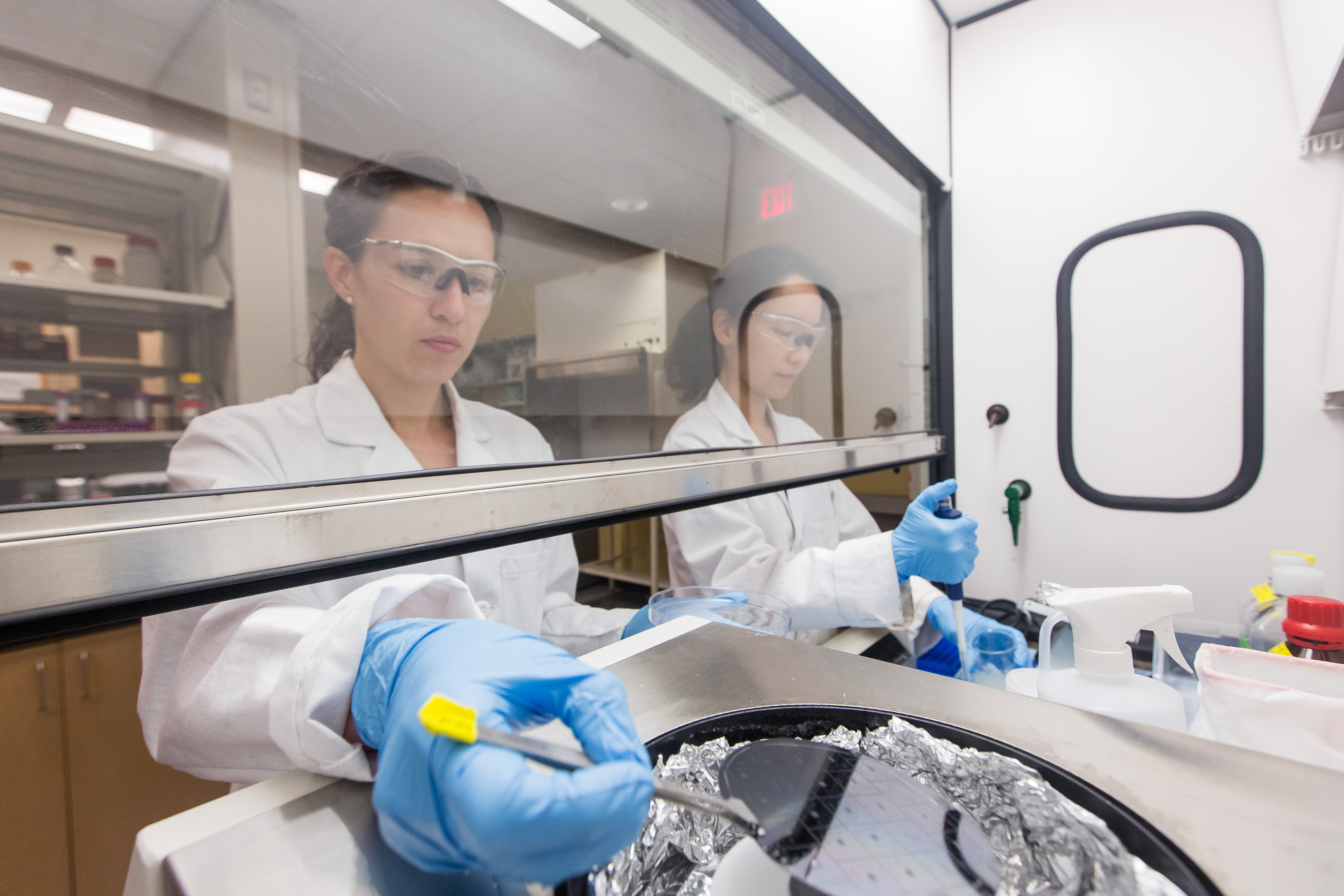Lab Workers