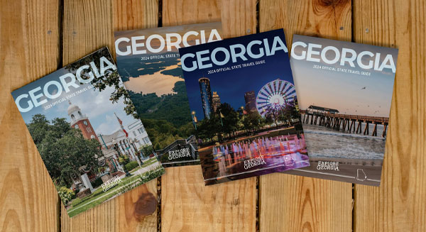 Georgia travel guide books