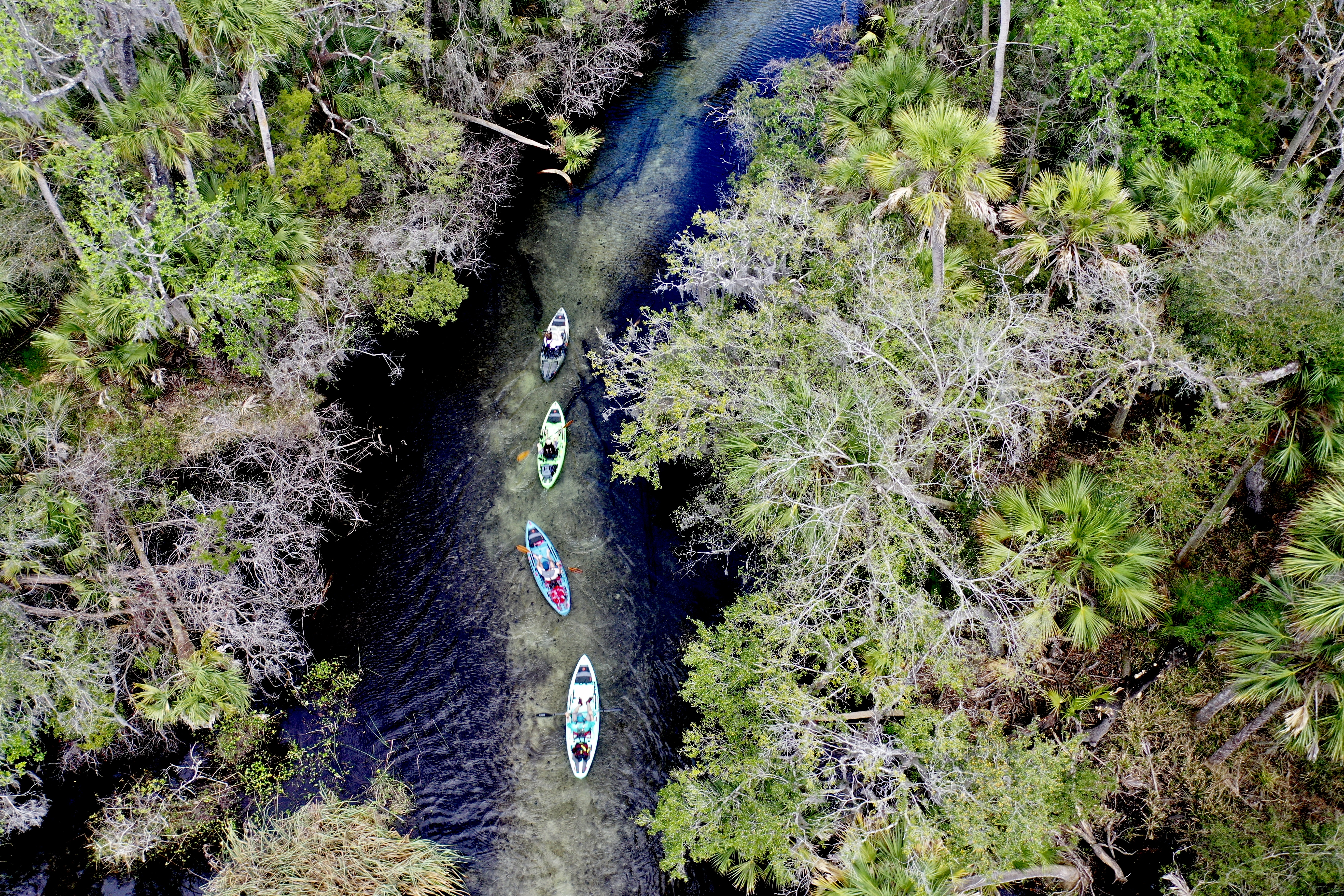 aerial view of four kayaks travel down a river surrounded by greenery