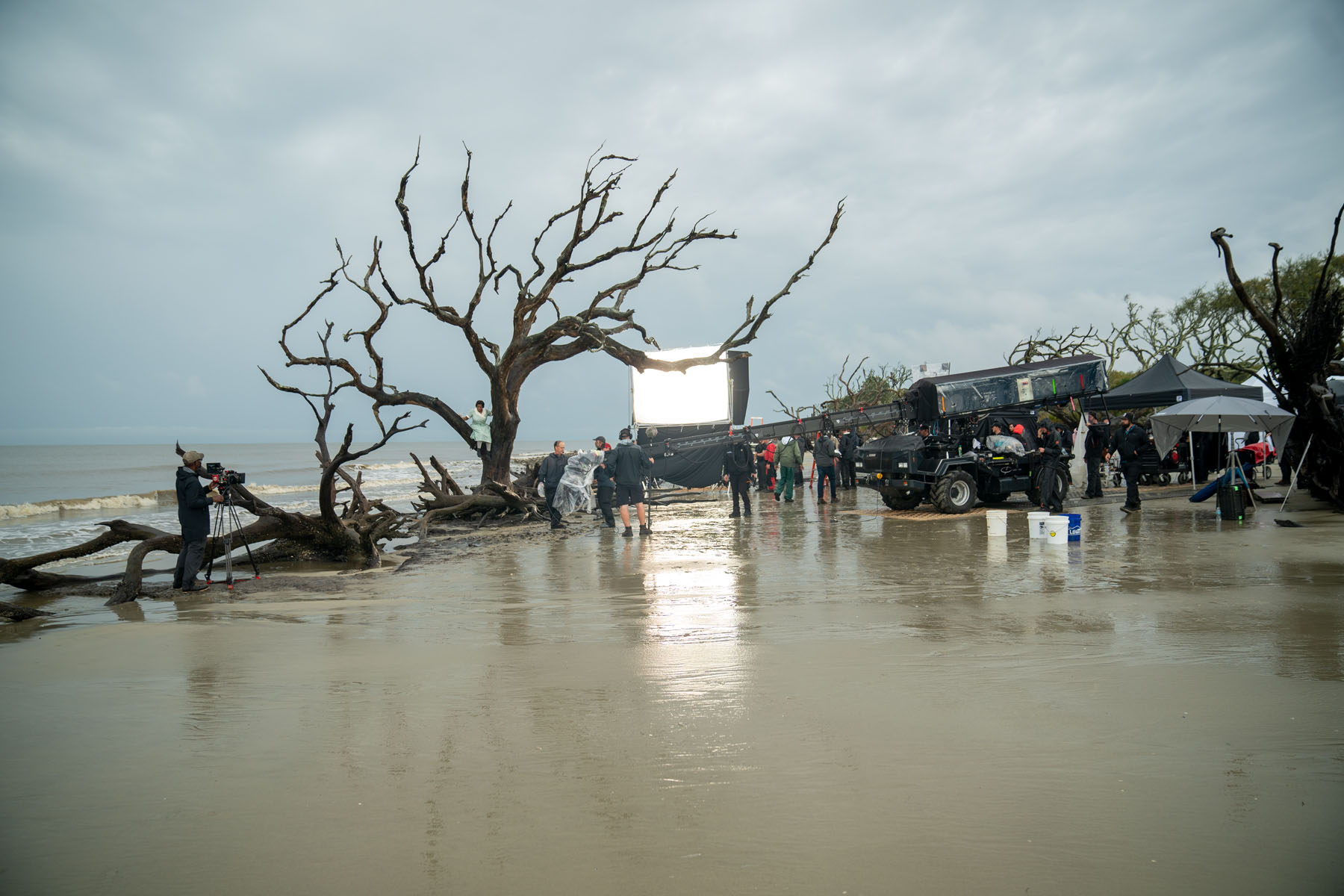 A camera crew is set up at Jekyll Island's Driftwood Beach during filming of The Color Purple