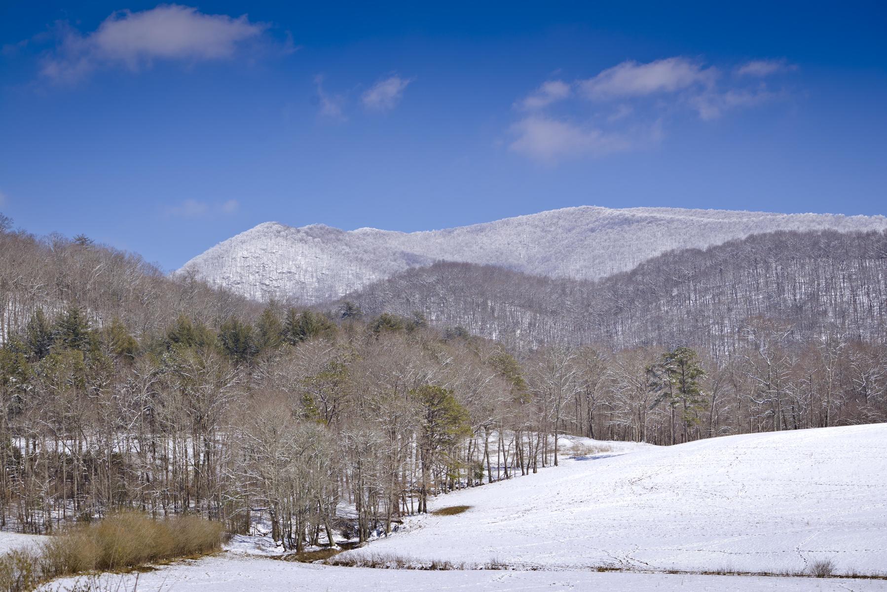 georgia winter