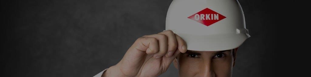 orkin