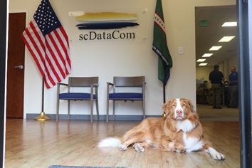 scDataCom HQ with dog.