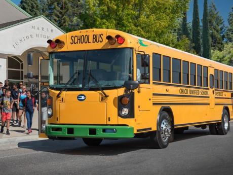 Blue Bird Bus