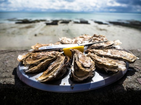 AQUACULTURE AND SEAFOOD AQUACULTURE AND SEAFOOD