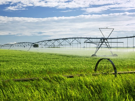 Integrated Precision Agriculture Integrated Precision Agriculture