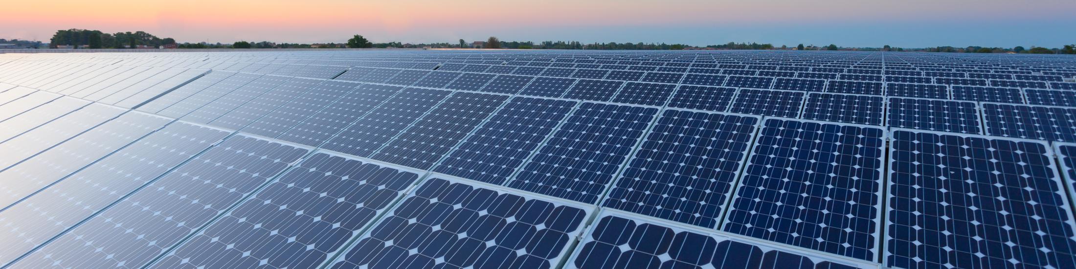 Solar panels at sunset